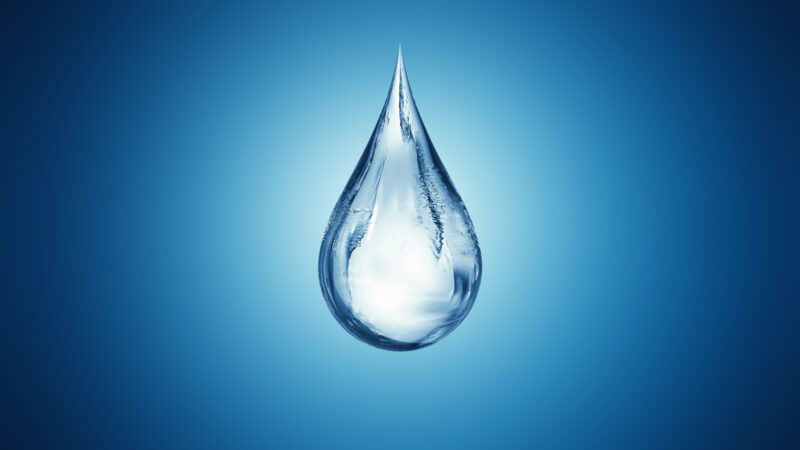 AdobeStock 402455886